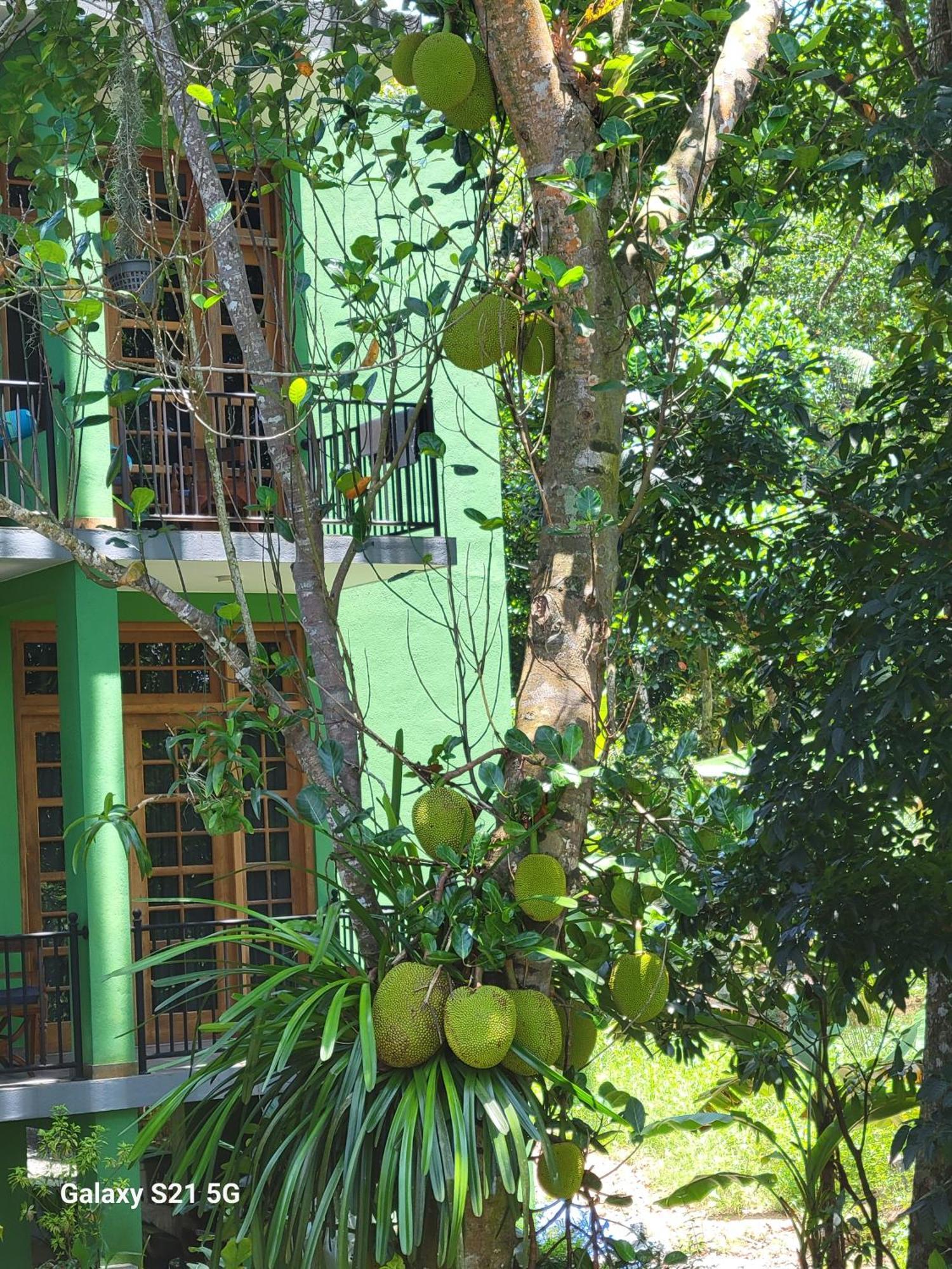 Barefoot Bungalow Hikka Хиккадува Экстерьер фото